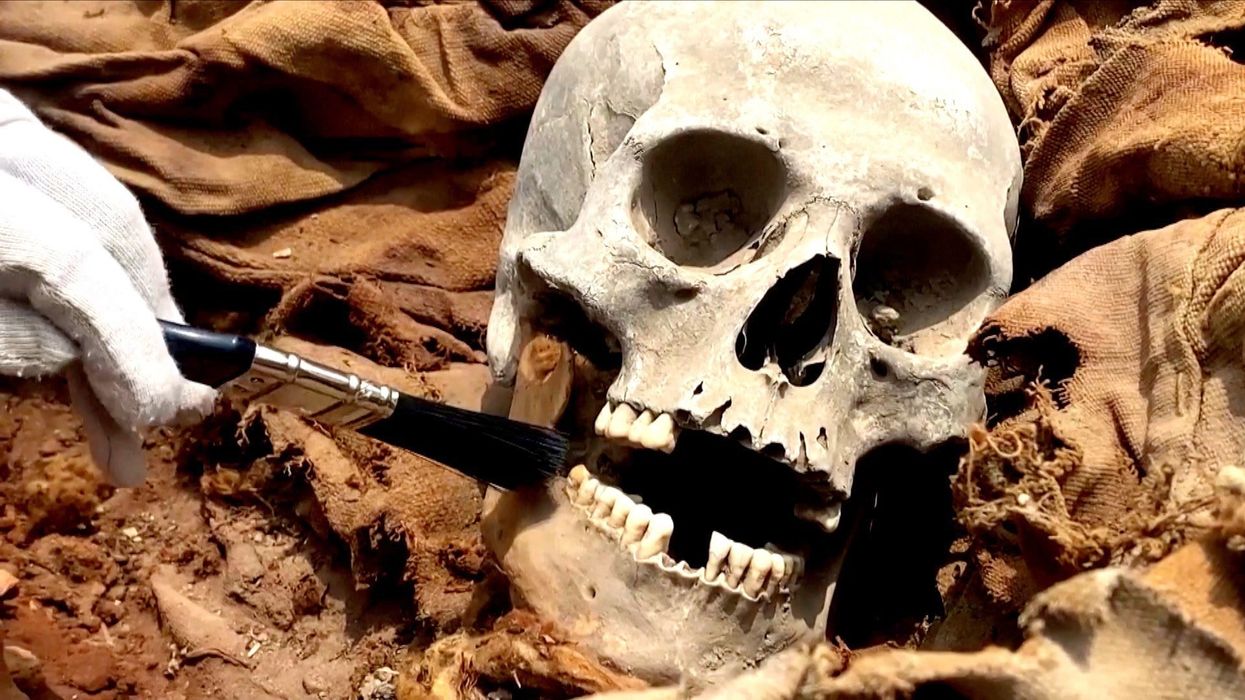 Archeologist discovers fragments of a skull considered 'the oldest face in western Europe'