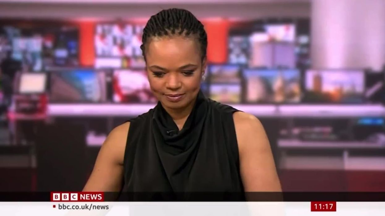 BBC News guest handles ‘amazing’ cat interruption like a pro