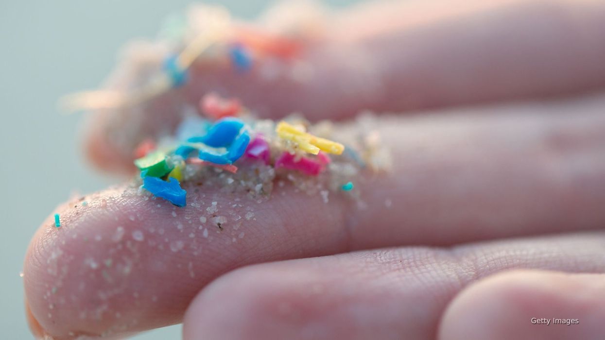 We 'ingest and inhale microplastics' constantly - but experts believe there's still hope