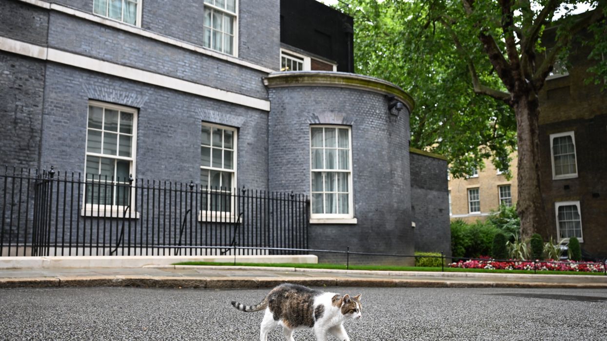 Scottish secretary Ian Murray calls Larry the Cat a 'little s***' - and the internet isn't happy