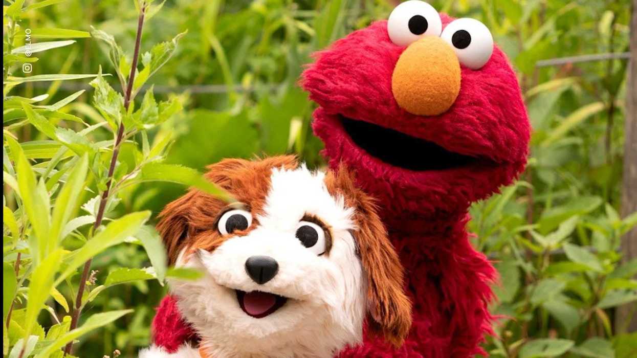 Republicans brand Elmo a ‘true patriot’ following World Cup support - but there’s one problem