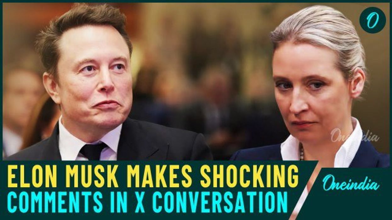 Elon Musk and AfD chancellor Alice Weidel’s X chat investigated by German parliament over 'donation' fears