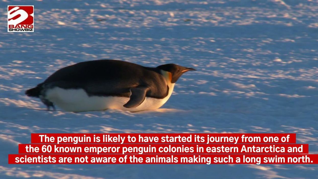 Hidden structures under frozen Arctic lake could point to existence of life in space