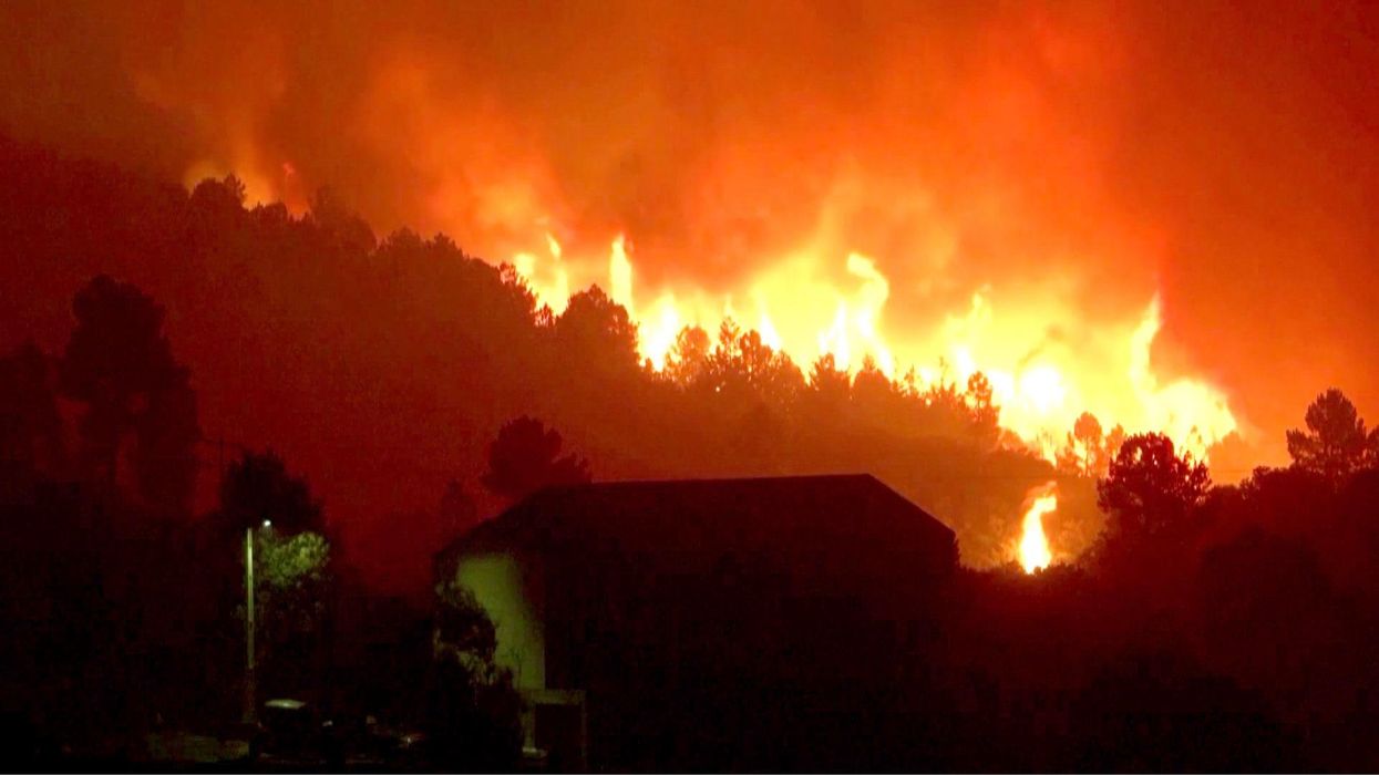 Climate activist calls for ban on disposable vapes after discovering one every minute in local park