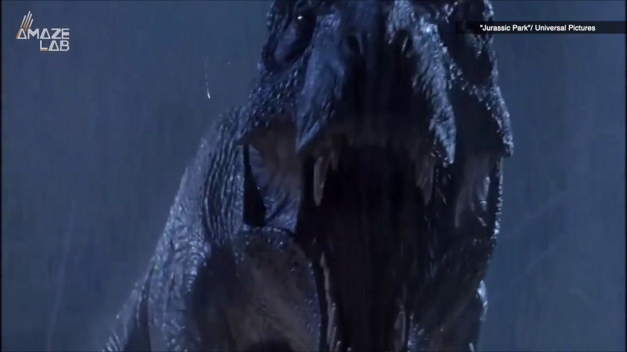 Peta mocked as animal rights organisation uses dinosaurs to make bizarre argument