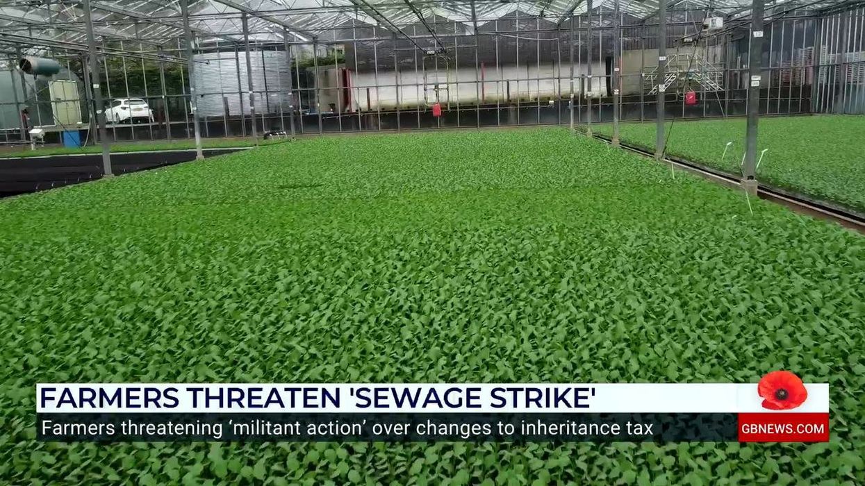 Ex-Labour adviser John McTernan references Thatcher in farming debate - it does not end well