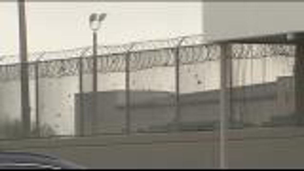 Pigeon detained in prison for dodgy contents of tiny backpack