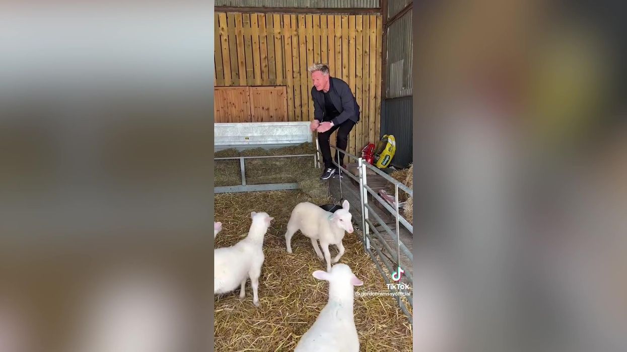 Gordon Ramsay's New Year’s Eve dinner will cost you £400 a head – and the wine is extra