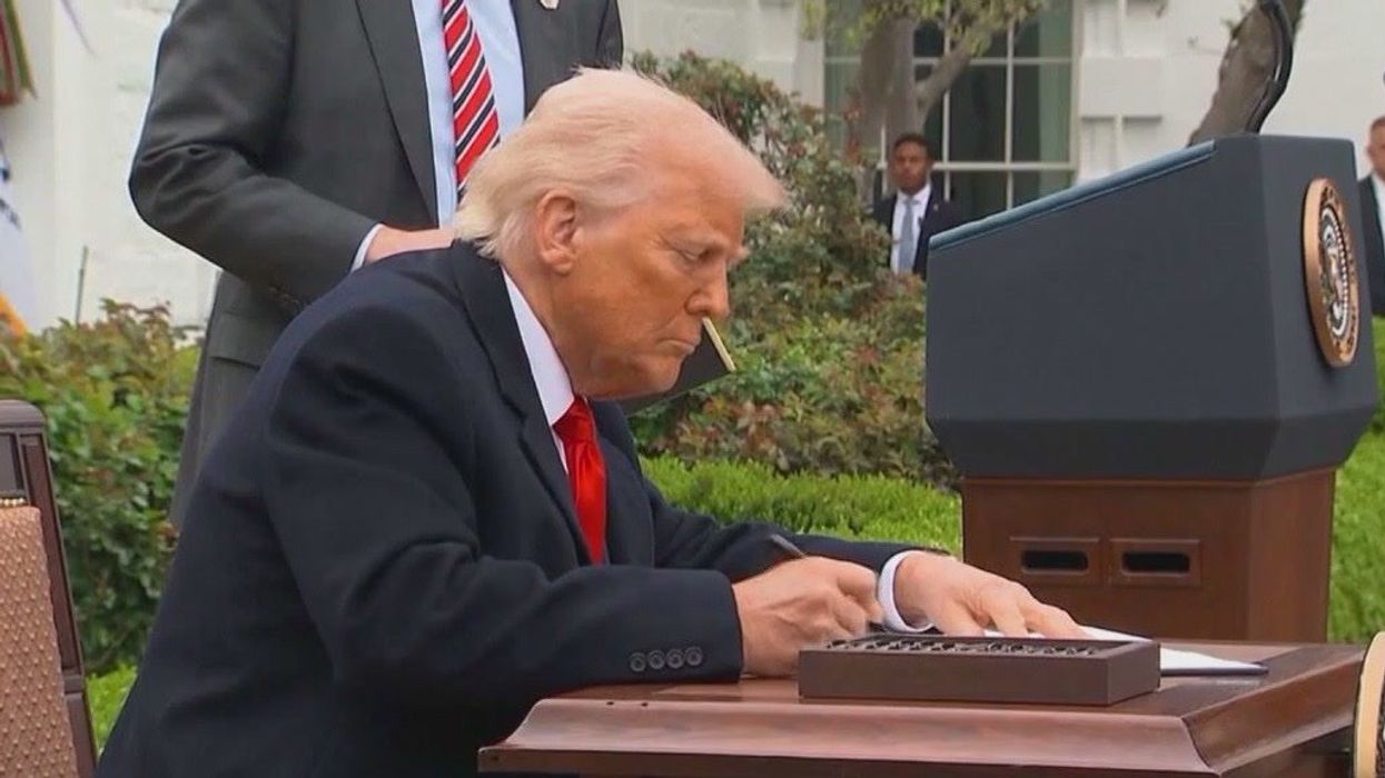 Penguins targeted by Trump tariffs now have a social media account – because of course they do