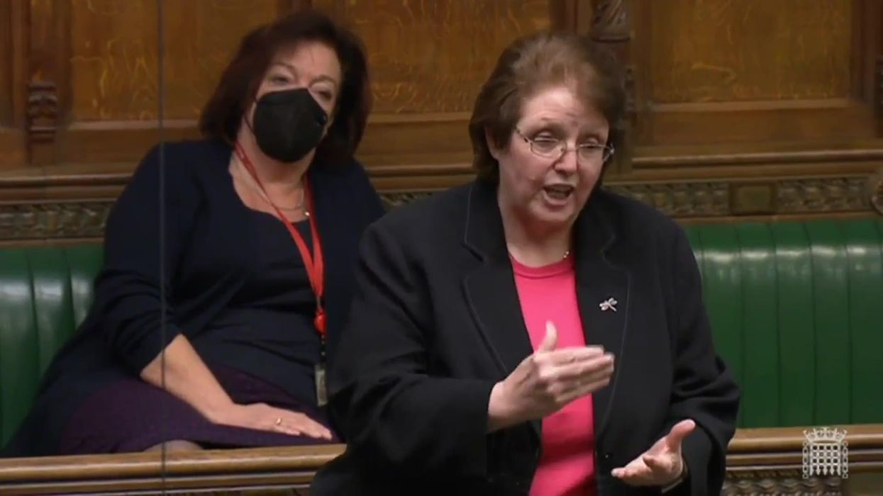 House of Lords marks first live use of British Sign Language interpretation in 'landmark moment'