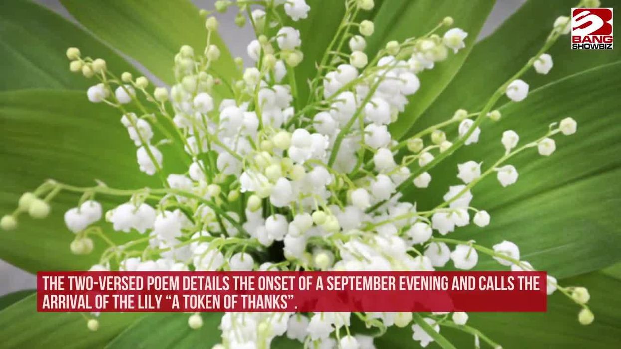 People are using National Poetry Day to roast the Tories in rhyme