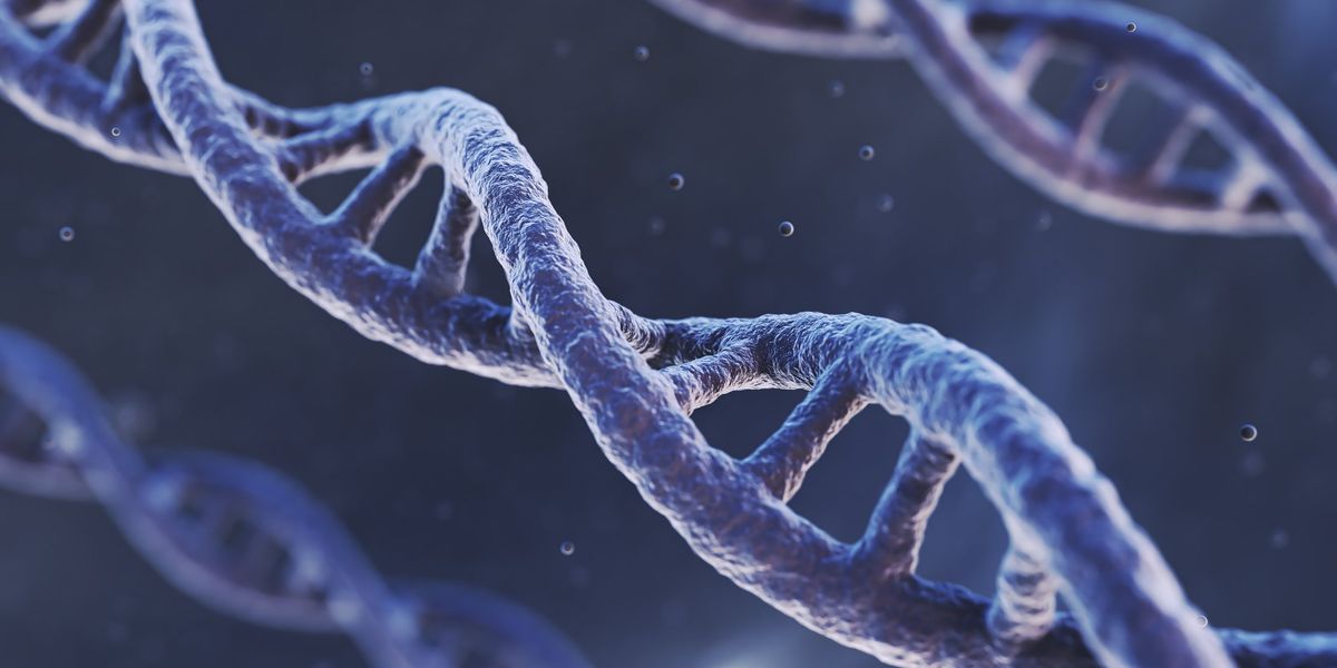 The oldest DNA from modern humans has been recovered, but there remains ...