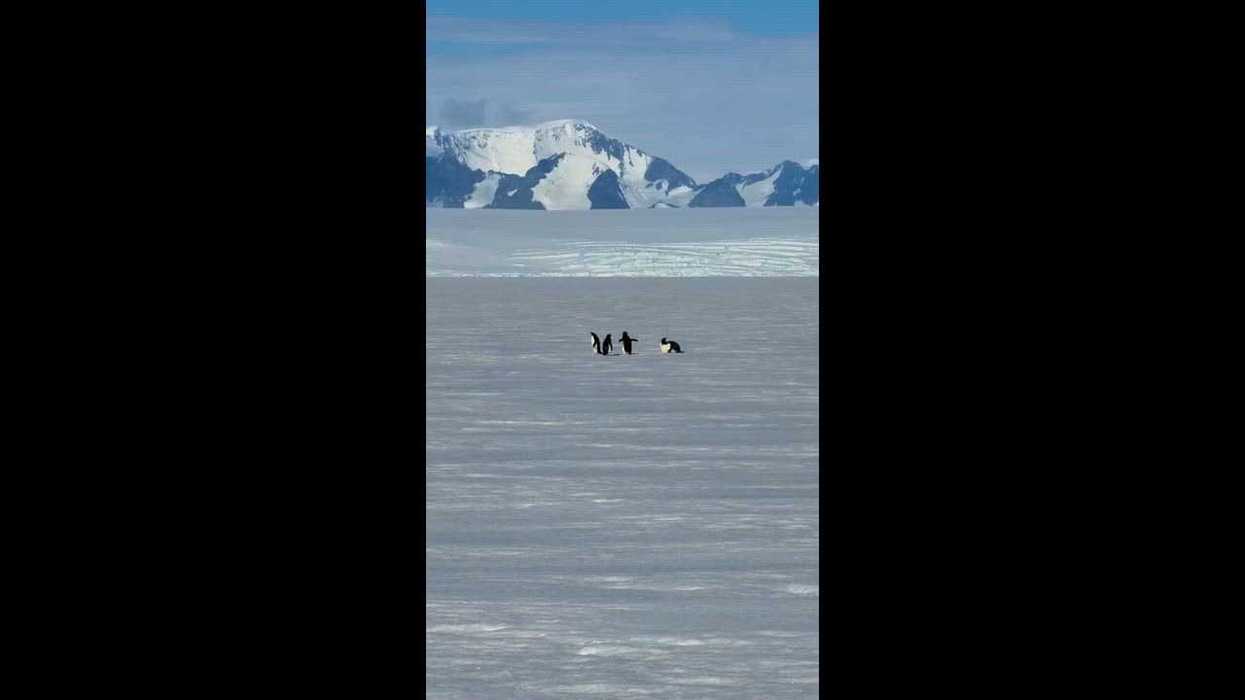 Antarctica’s Egypt-like 'pyramid' is sparking conspiracy theories around an ancient civilisation
