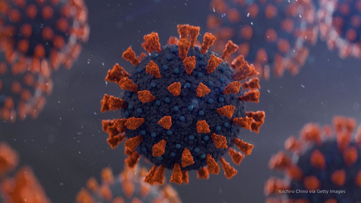 Trump White House rebrands Covid website to attack Wuhan 'lab leak' and Dr Fauci