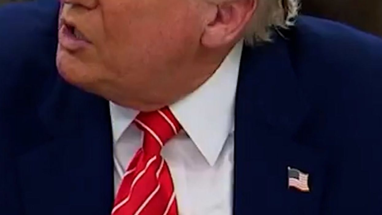 Trump doubles down on ridiculous 'transgender mice' claim in Musk's final press conference