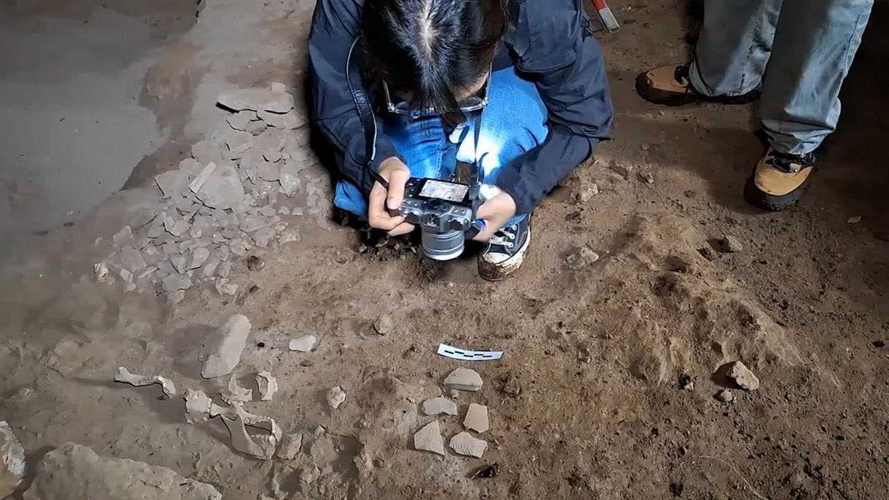 Ancient art unearthed in European cave is rewriting what we know about human origins