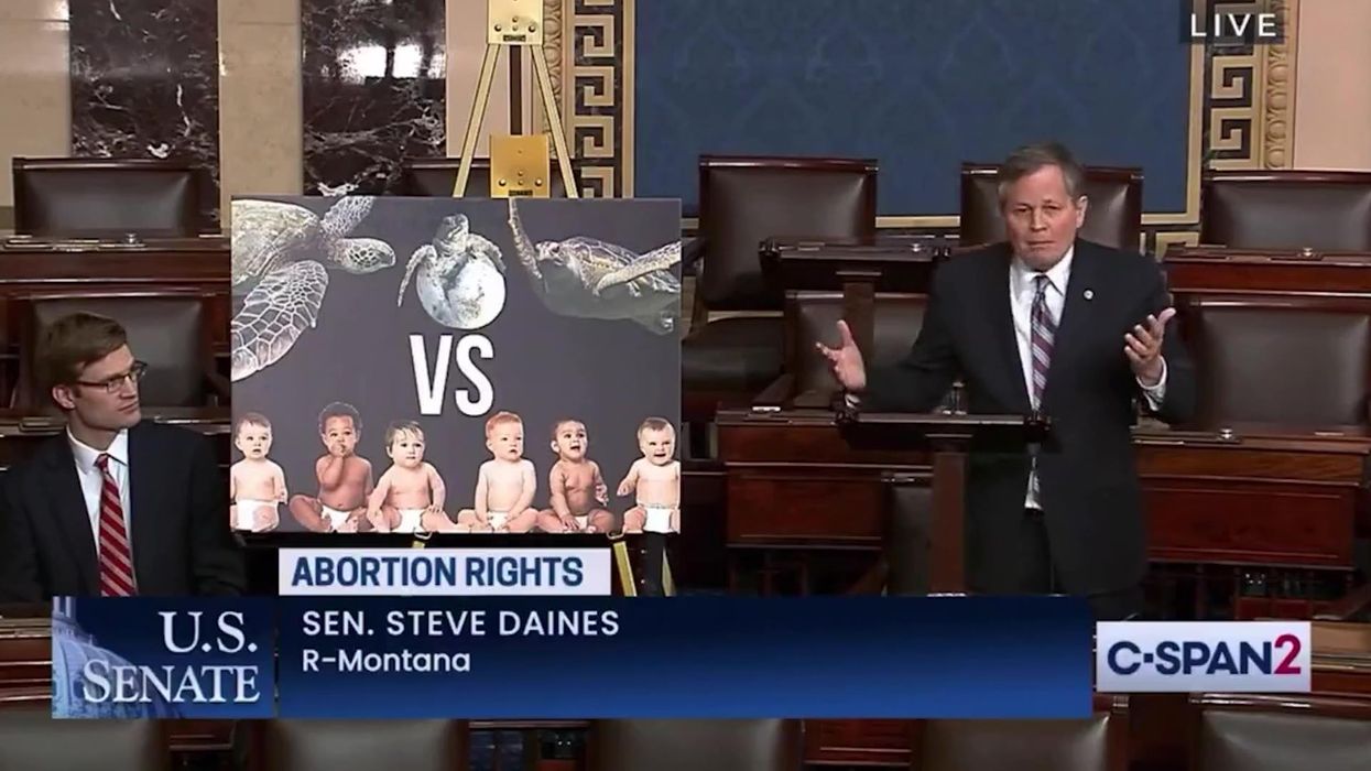 Republican senator compares pregnant women to sea turtles amid abortion debate