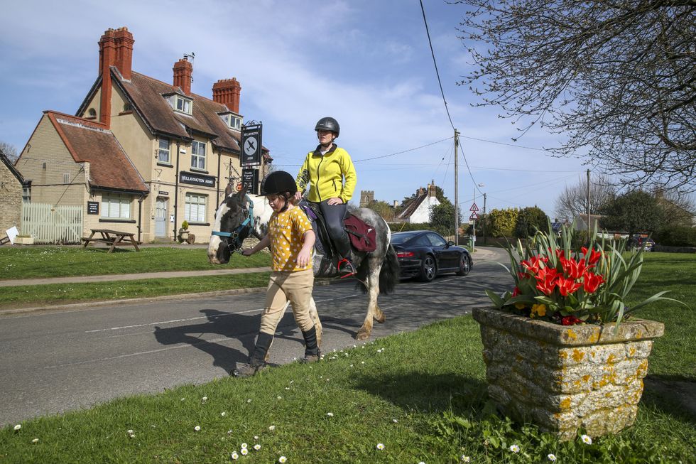 Rescue pony book delivery