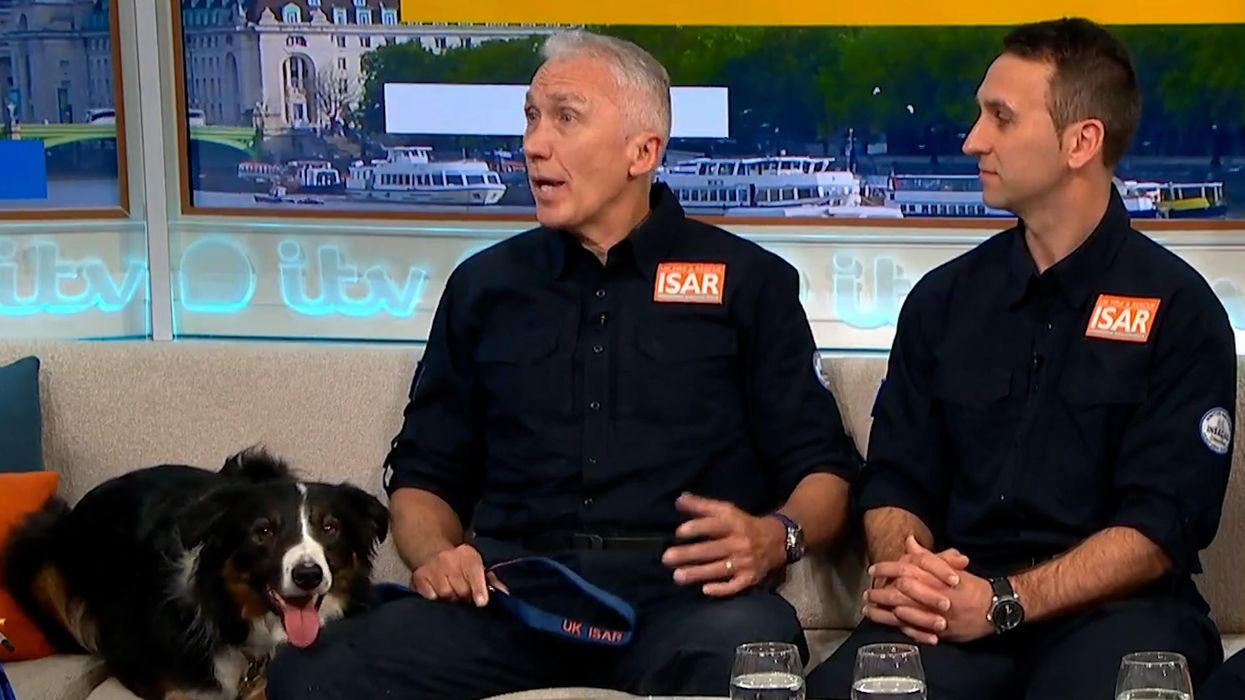 Meet the border collie who flew to Turkey to help find earthquake survivors