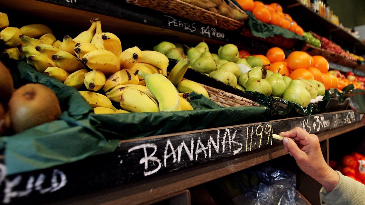 Scientists warn bananas could go extinct as disease ravages fruit