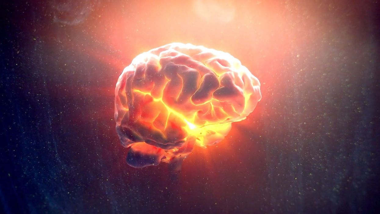 Scientists discover the human brain is even more powerful than we thought