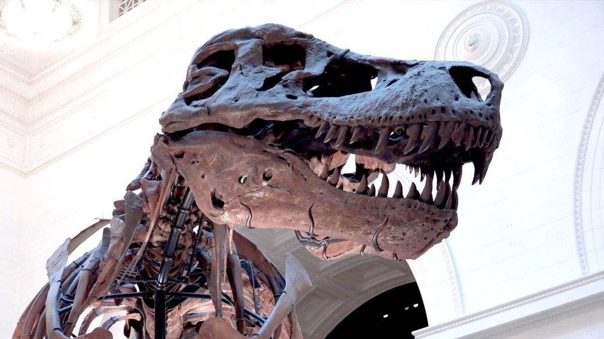 Map of ‘mega ripples’ created by dinosaur-killing asteroid uncovers secrets of ancient world