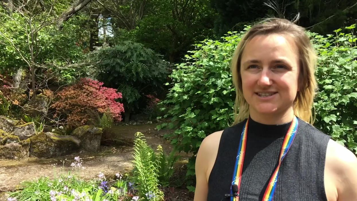 A gene-editing experiment on hamsters ended up turning them into ‘aggressive' mutants