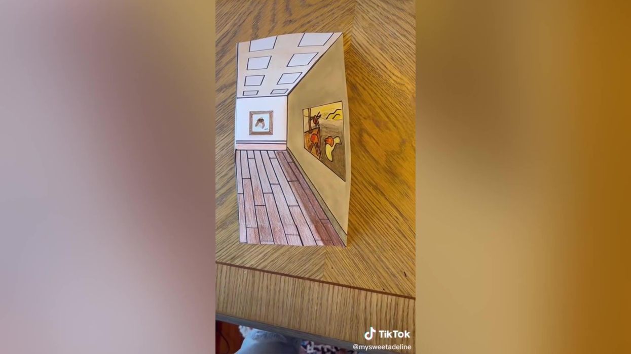Trying to figure out which way the horse is spinning in this optical illusion will make you dizzy