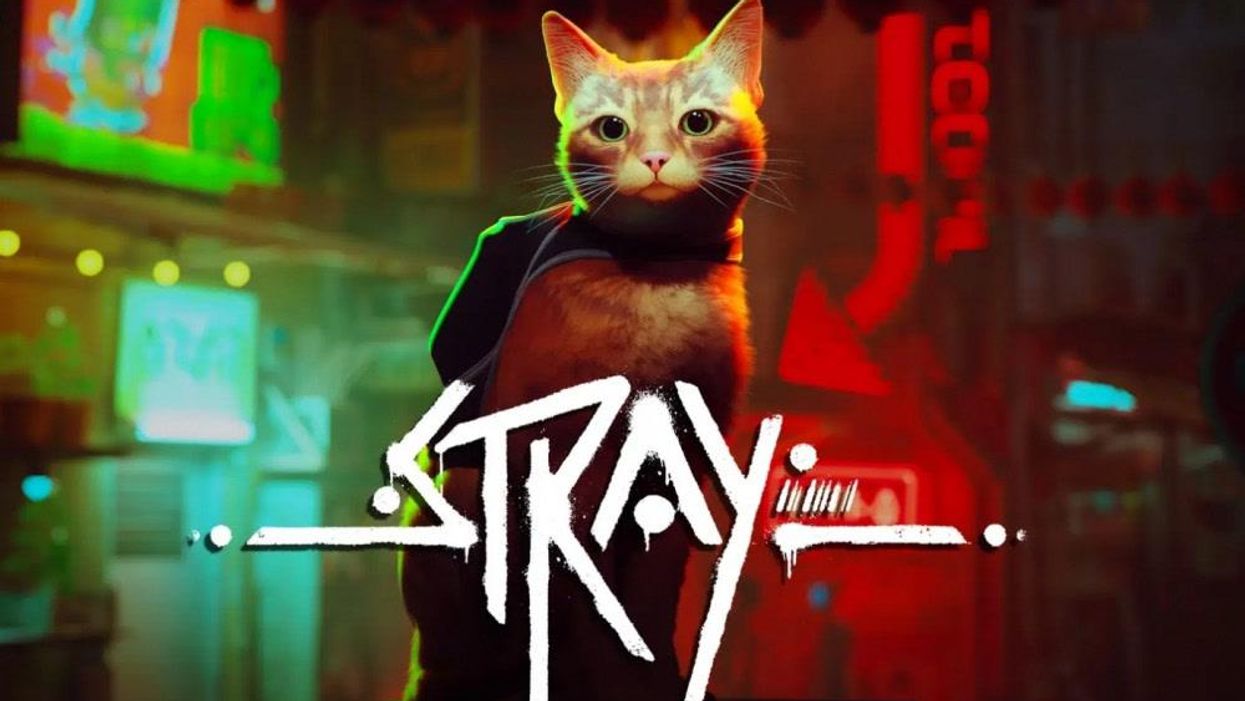 Gamers are obsessed with Stray - the game where you play as cat, complete with a meow button