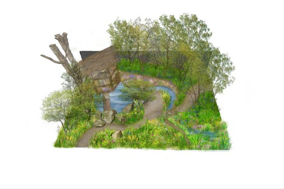 RHS No Adults Allowed Garden