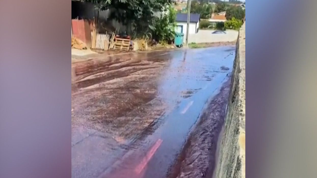 Portuguese town flooded with red wine as 2.2 million litre tank bursts