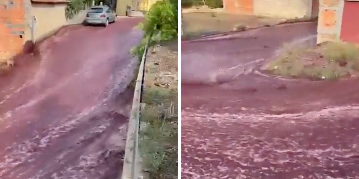 Cidade portuguesa foi inundada com vinho tinto quando um tanque de 2,2 milhões de litros estourou