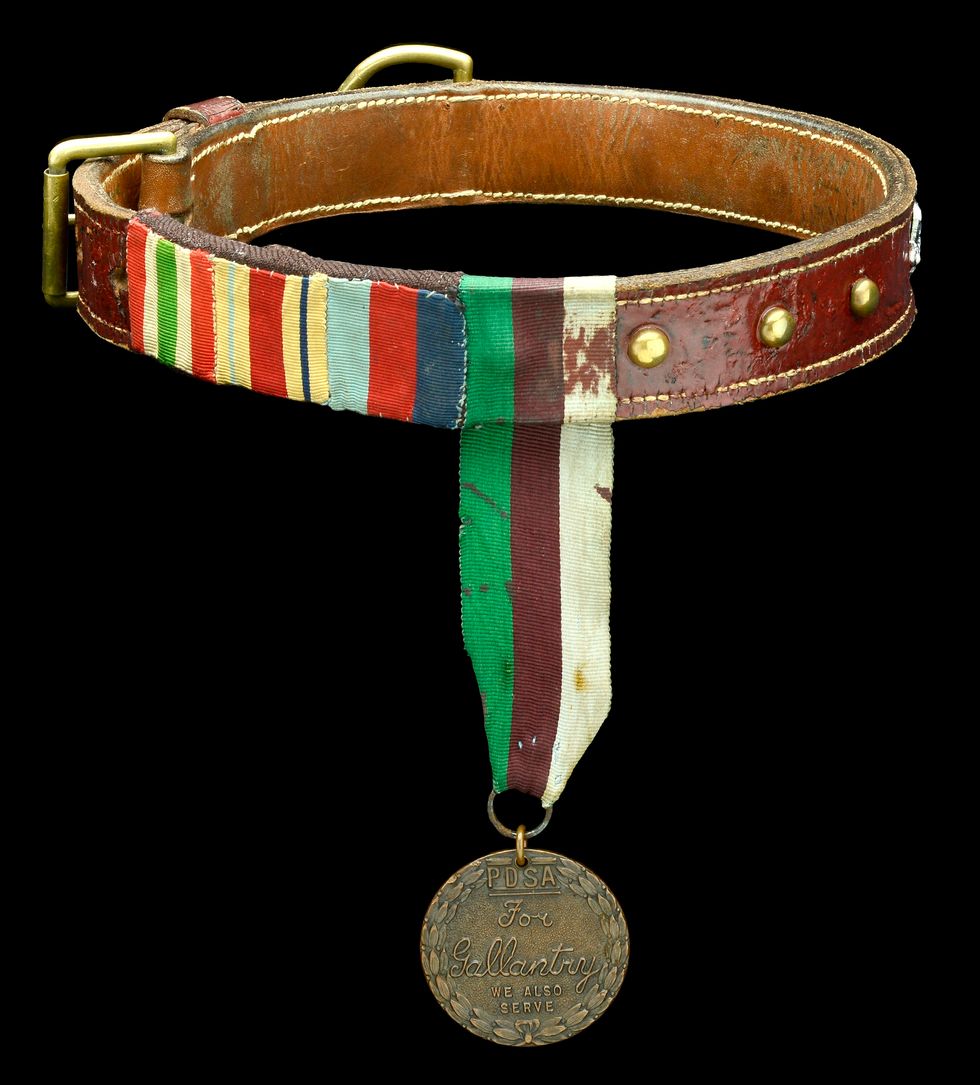 Rob the Dog's Dickin Medal, which has been sold at auction