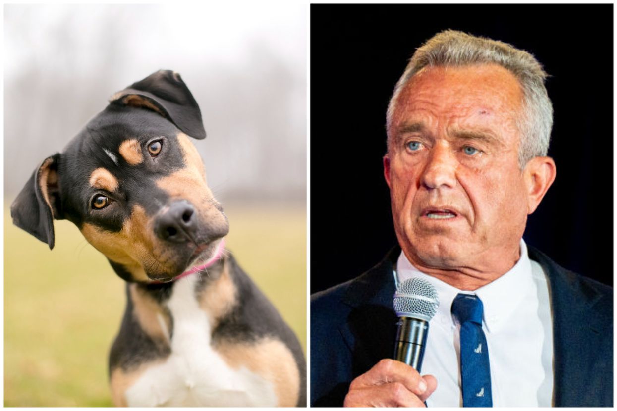 Did Robert F. Kennedy Jr really eat a dog?