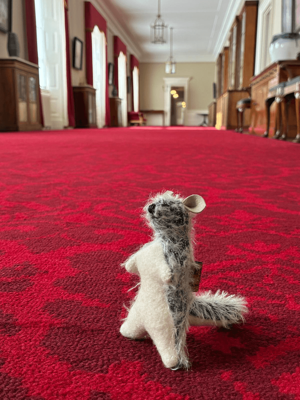 Roo at Buckingham Palace