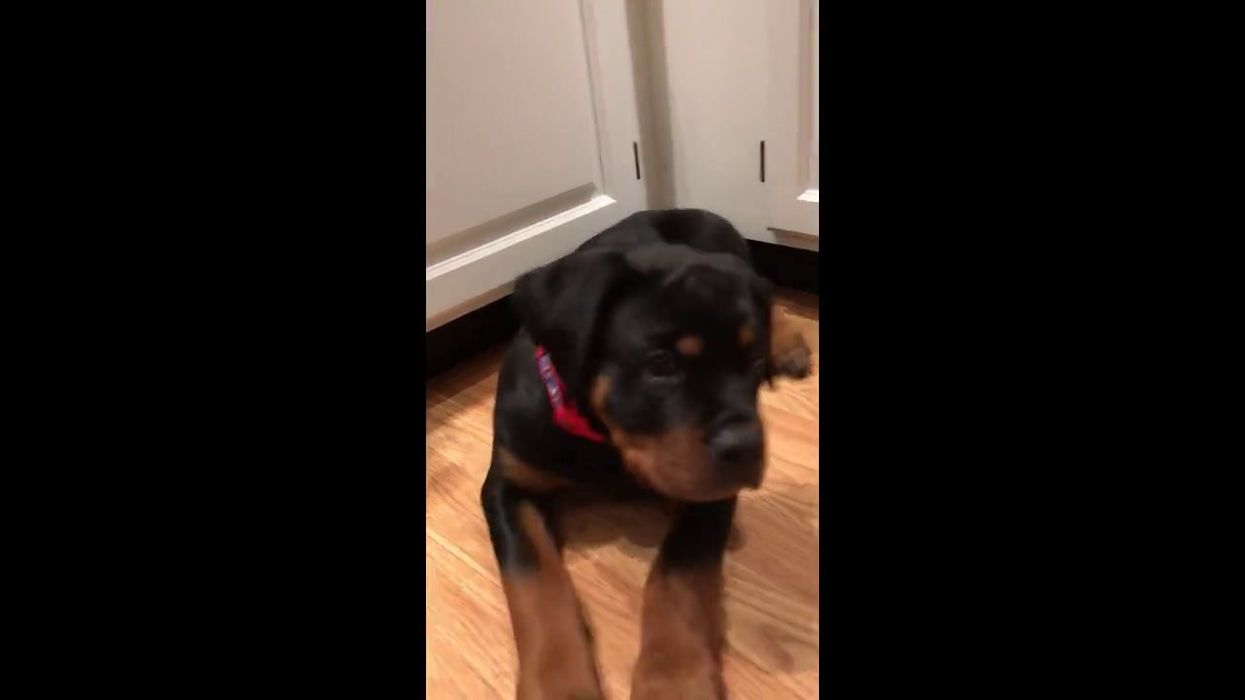 Scientists share hiccup cure with '100 per cent' success rate