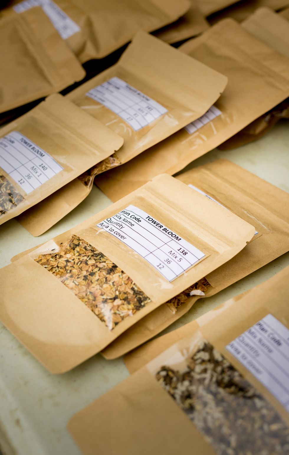 Rows of different mixes of the Tower Bloom seeds