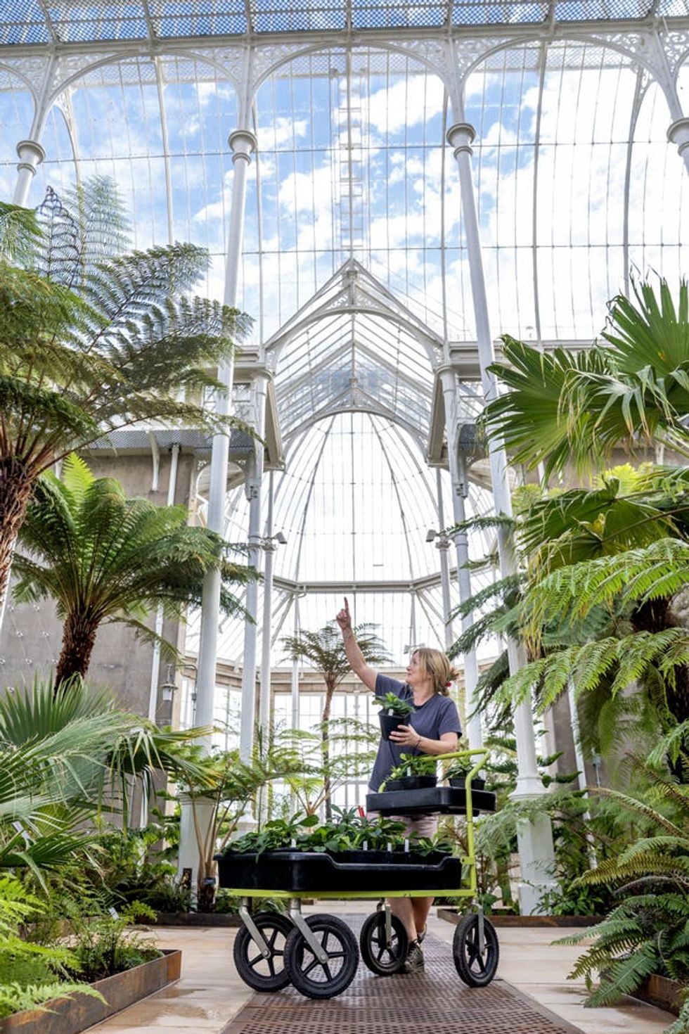 Royal Botanic Garden Edinburgh\u2019s Palm Houses