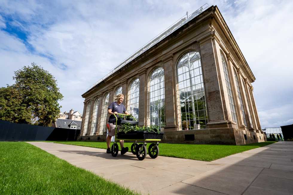‘Historic moment’ as Edinburgh’s Palm Houses reopen after five-year restoration