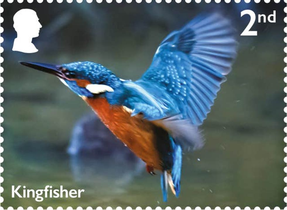 Royal Mail river wildlife stamps