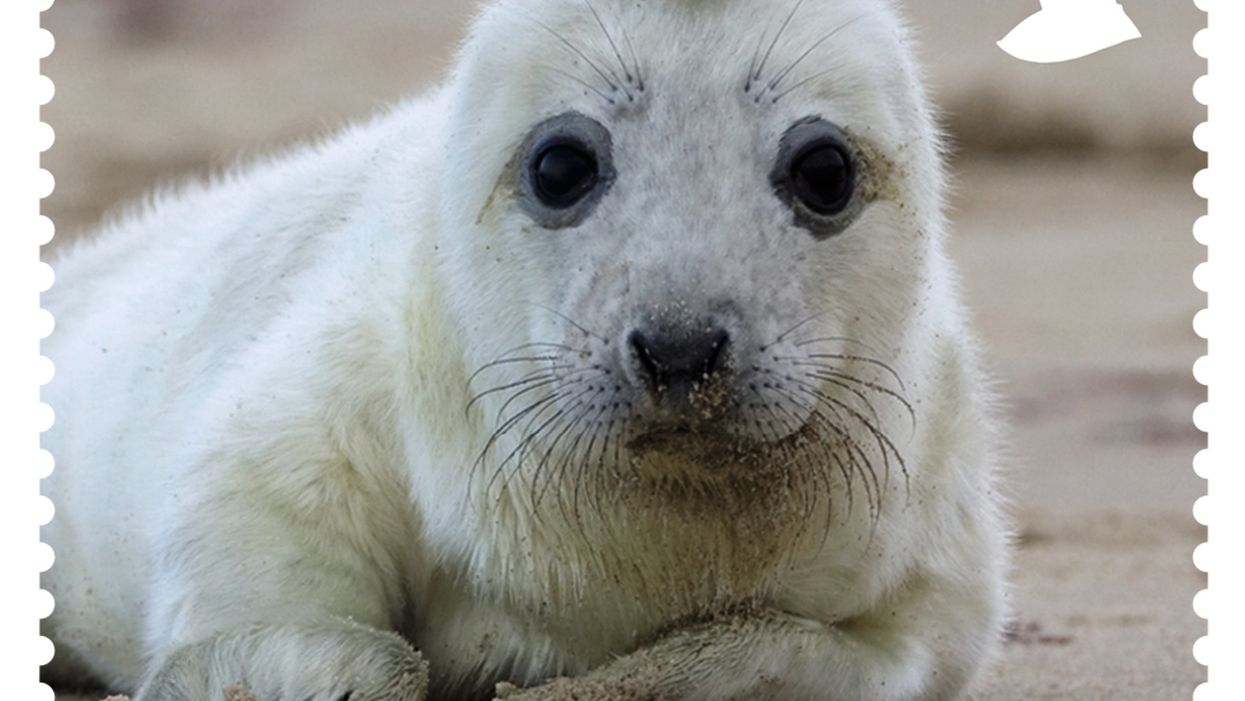 Royal Mail stamp with grey seal