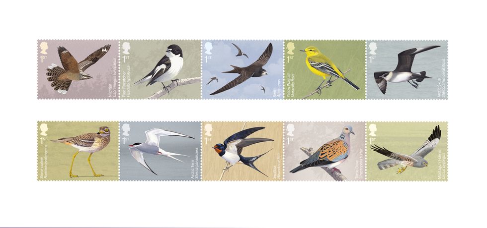 Royal Mail unveils new set of stamps showcasing migratory birds