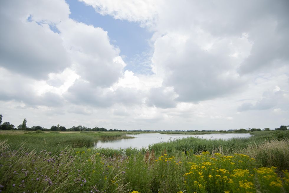 RSPB Ouse Fen Nature Reserve, Cambridgeshire. (RSPB/ PA)