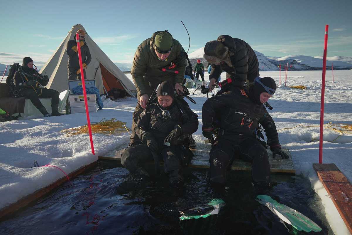 Scientists are diving deep into Arctic waters to discover secrets of the deep