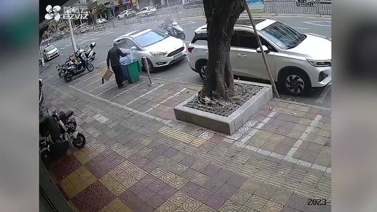 Instagram account of just bins becomes unlikely hit