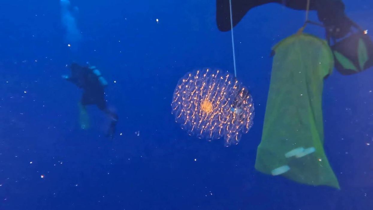 Discovery of strange underwater structures could reveal how life on Earth really began