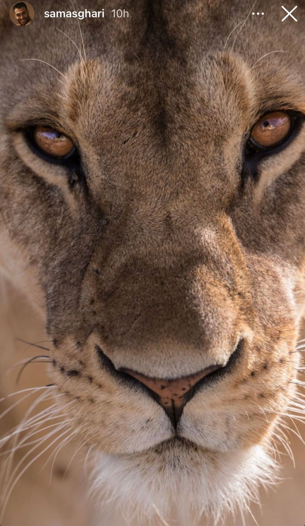 Sam has previously said he calls his girlfriend a \u2018lioness\u2019 because of how much she inspires him