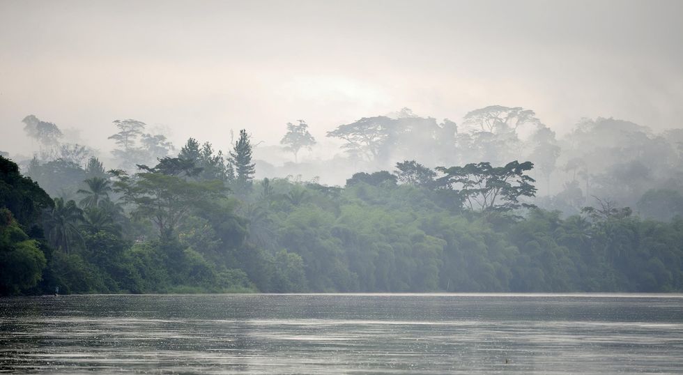 Sangha Trinational is a UNESCO world heritage site, and is situated in the north-western Congo Basin, where Cameroon, Central African Republic and Congo meet. It features the Sangha river, and encompasses three contiguous  cross-border national parks, roughly 750,000 hectares in size.