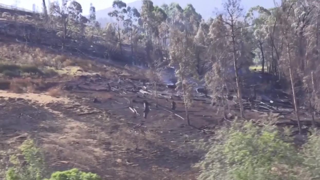 How a 100-year-old house survived the Maui wildfires