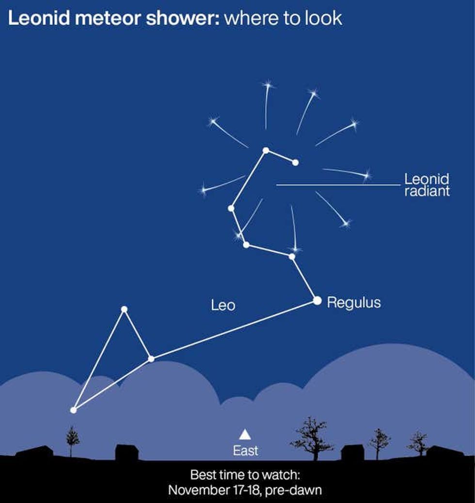 SCIENCE Leonids